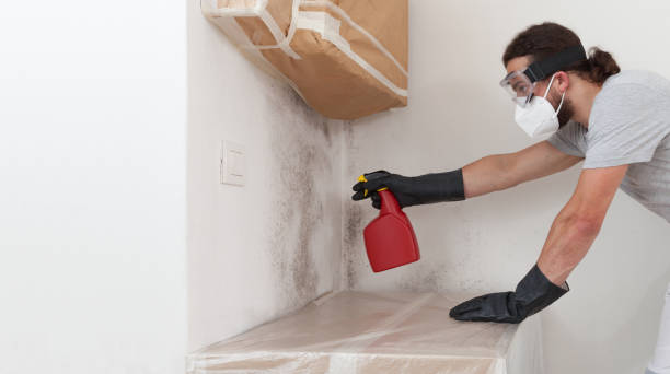 Professional Mold Testing technician working in Franklin, VA