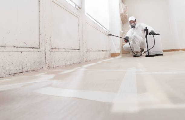 24/7 Emergency Mold Testing experts in Franklin, VA
