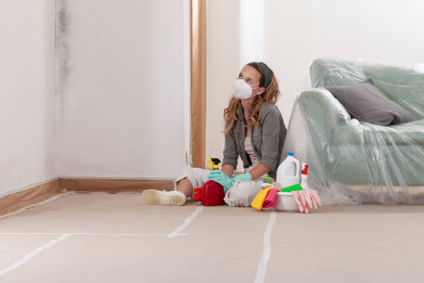 Reliable Mold Testing contractor in Franklin, VA by WQB Mold Removal